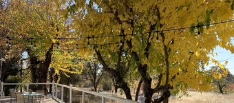 Charming Amador Farmhouse! Located on the Shenandoah Valley Wine Trail.   