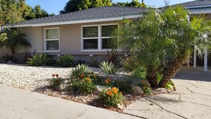 Ein Wohnhaus mit einem angelegten Garten, der verschiedene Pflanzen und Blumen zeigt.