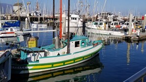 Ein Yachthafen mit verschiedenen anlegenden Booten, darunter ein Boot in Grün und Weiß namens 'BARBARA'.