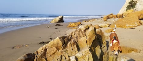 Beach nearby, sun loungers, beach towels