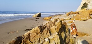 Beach nearby, sun-loungers, beach towels