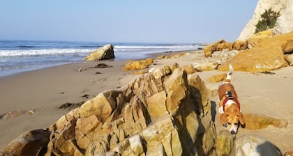 10/10 🌟 Wonderful Home Entertain by Beach & Downtown & Marina - PETS Welcome