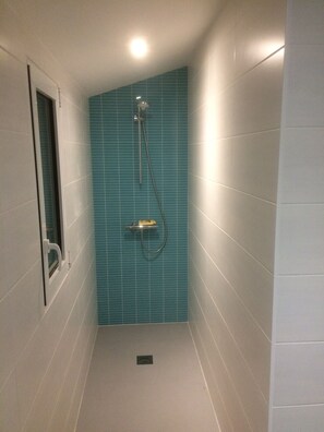 Shower, hair dryer