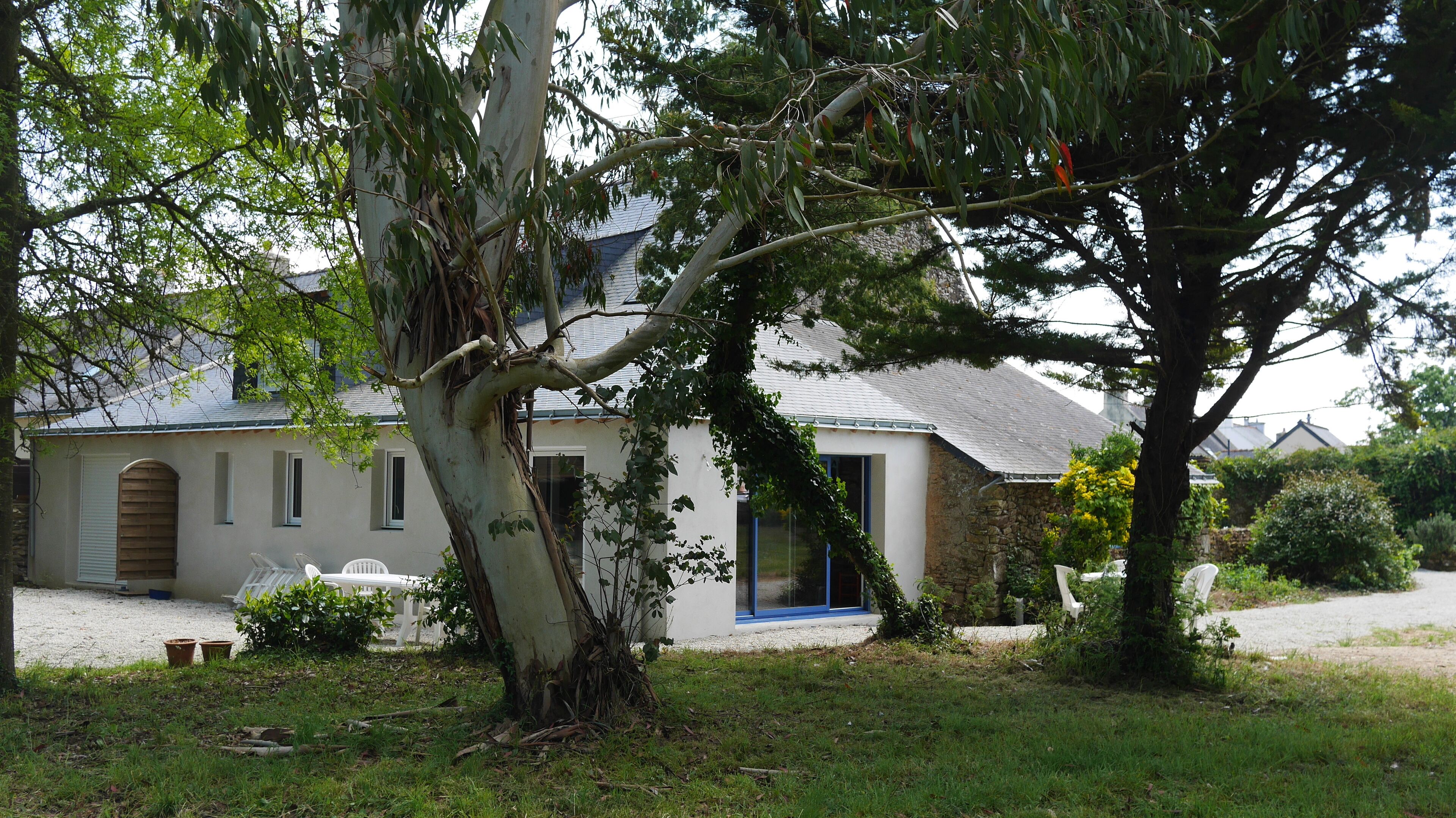 Een huis met een stenen gevel, een grote boom ervoor en een witte deur.