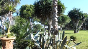 A garden with various plants, including palm trees and agave plants. - Villa Pinos direct access to the beach (zahora)
