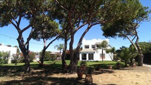 A white building with a garden, large trees, and potted plants. - Villa Pinos direct access to the beach (zahora)