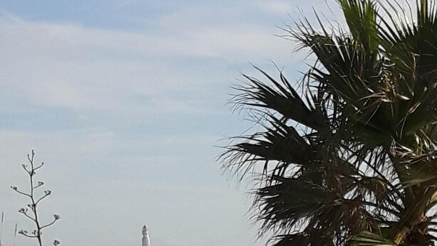 A coastal view with a lighthouse in the distance, surrounded by palm trees and agave plants. - Villa Pinos direct access to the beach (zahora)