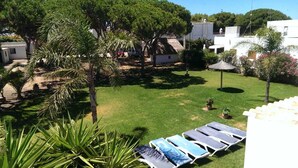 A courtyard with a lawn, palm trees, and lounge chairs. - Villa Pinos direct access to the beach (zahora)