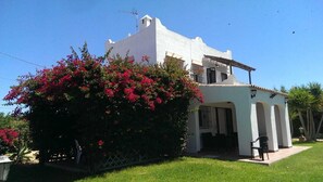 Exterior - Villa Pinos direct access to the beach (zahora)