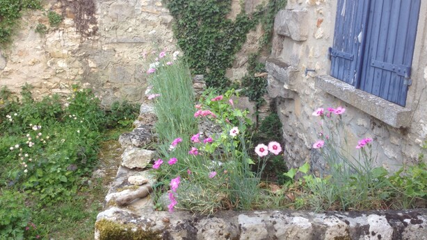 A stone wall with ivy, a wooden bench, and pink flowers in a garden area. - Large independent house in the village center with large garden.  (Soisy-sur-École)
