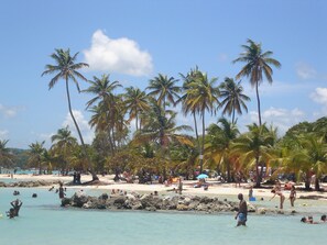 Plage à proximité