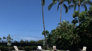 Ein Swimmingpool mit Liegestühlen und Palmen.