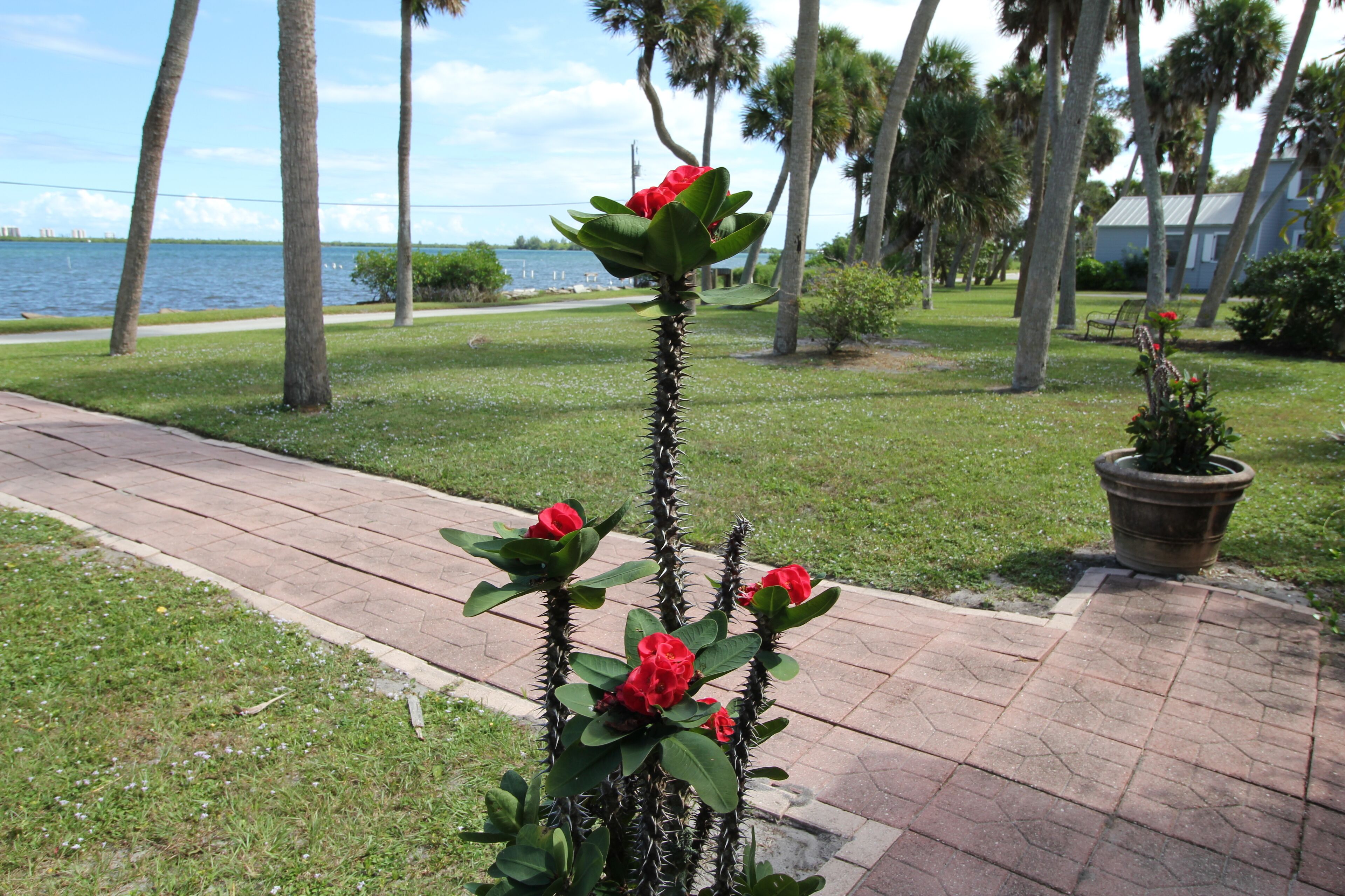 Enceinte de l’hébergement