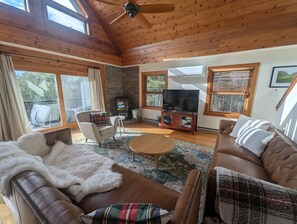 TV connectée, cheminée, jeux vidéo, lecteur de DVD