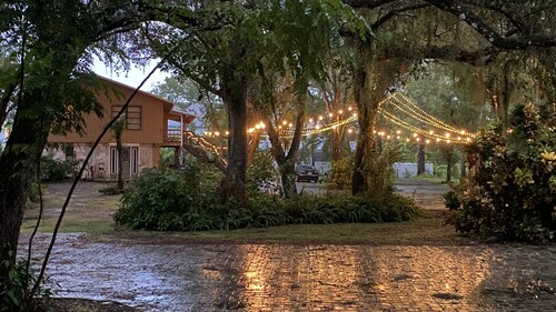 Discover Real Florida UP CLOSE! Tropical Escape Sarasota