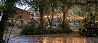 Discover Real Florida UP CLOSE! Tropical Escape Sarasota