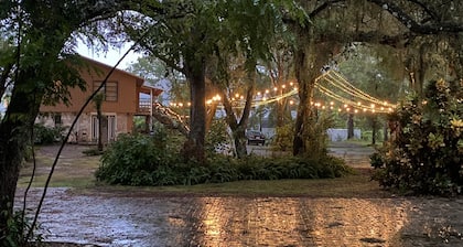 Discover Real Florida UP CLOSE! Tropical Escape Sarasota