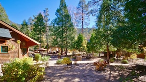 A rustic cabin with a covered patio and a dirt driveway leading to a wooden deck. - Peaceful Pines "  Lovely Pet Friendly Mountain Home w/ Spa (Idyllwild)