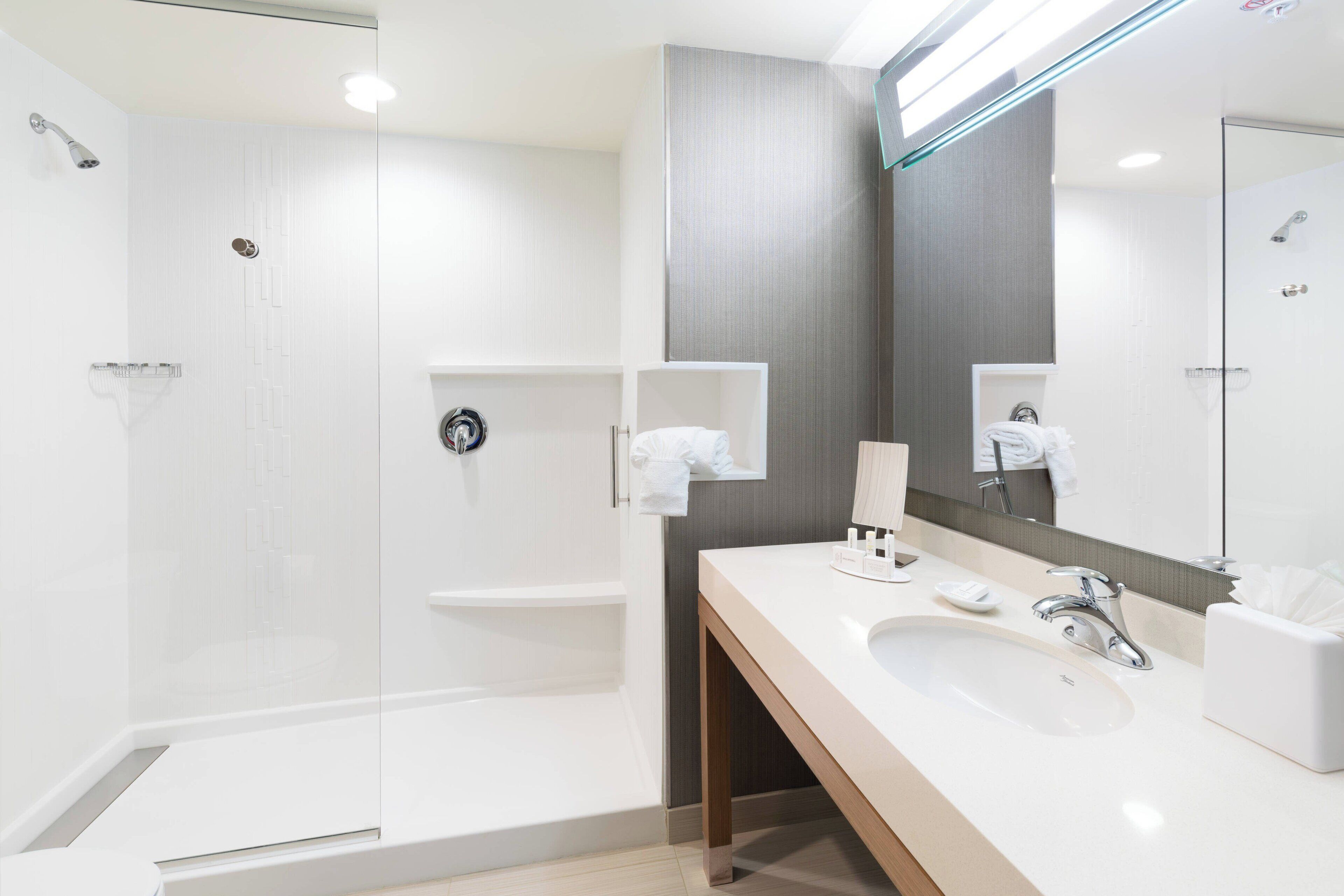 room, 1 king bed with sofa bed | bathroom | shower, free toiletries, hair dryer, towels