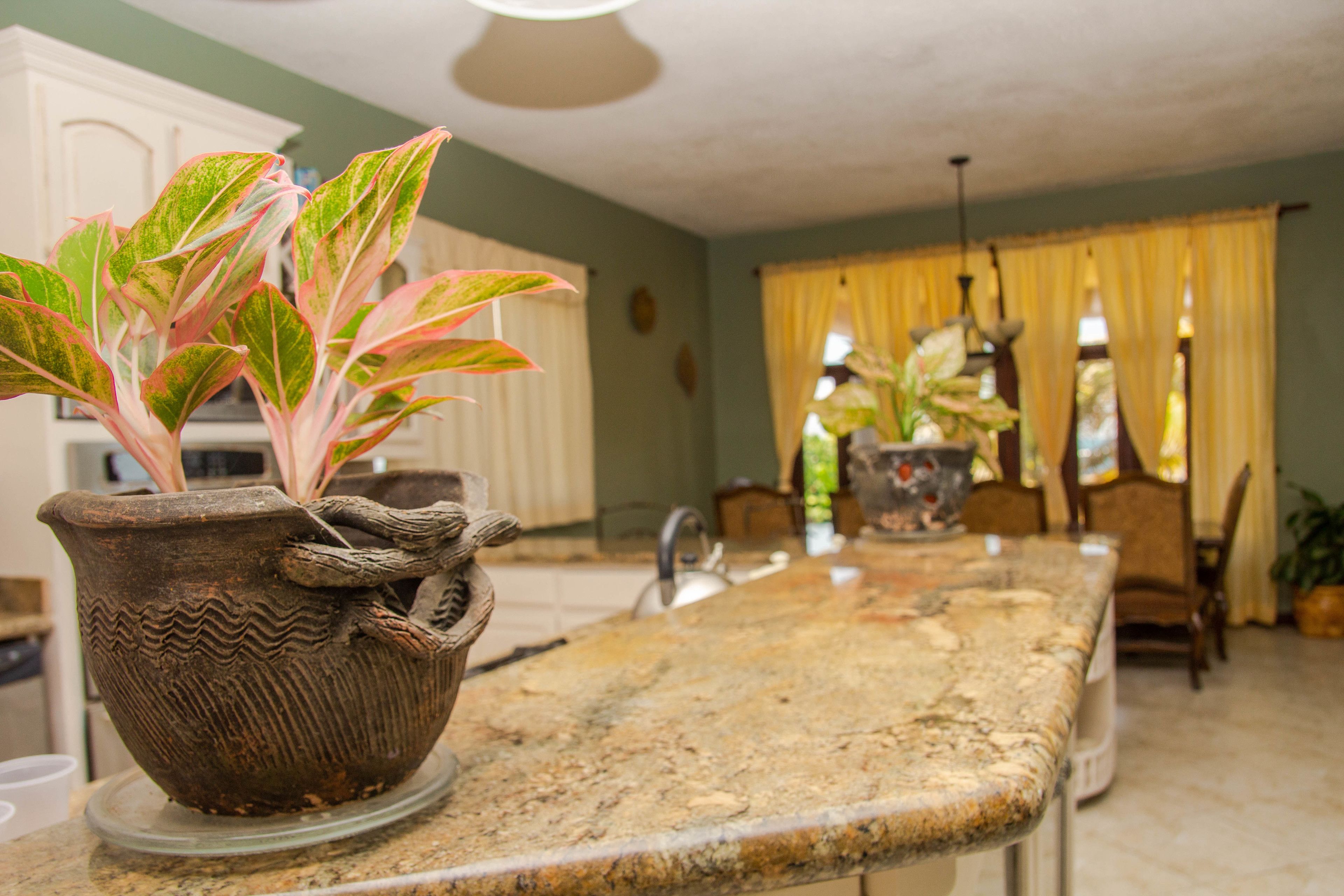 A kitchen with a granite countertop, a potted plant, and a dining area with chairs and a table.
