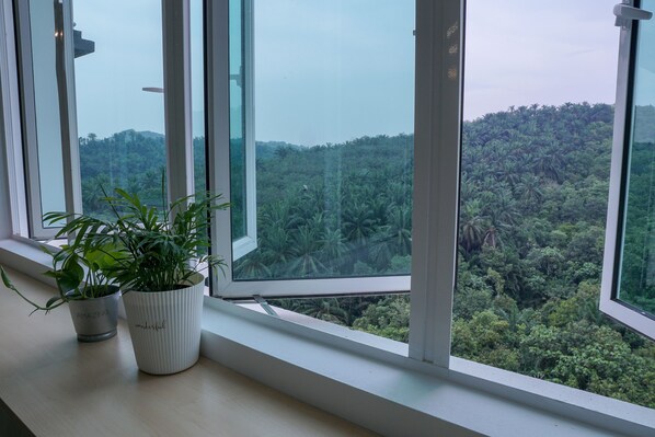 Vista desde la propiedad