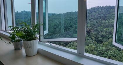 The Khailily's Guest