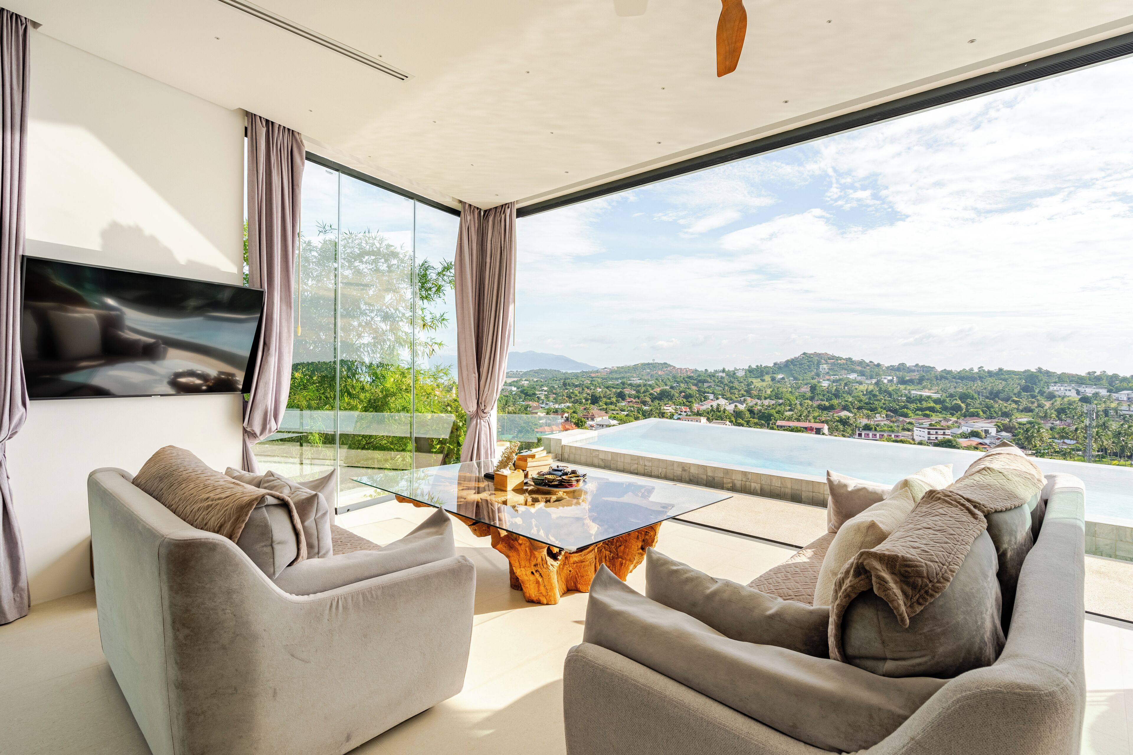 55-英寸纯平电视（配备数码频道）、智能电视、Netflix