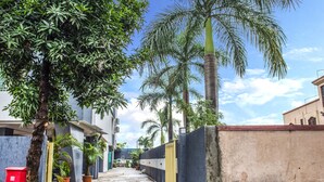 Un carrer estret amb un camí de formigó, delimitat per una paret alta d'un costat i un edifici de l'altre. Es veuen diverses plantes en testos i una bústia vermella.