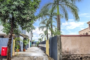 Stroll through a serene tropical setting surrounded by lush greenery and a tranquil atmosphere.