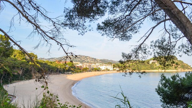 Une plage côtière à la courbe douce, bordée de verdure et avec des collines en arrière-plan.