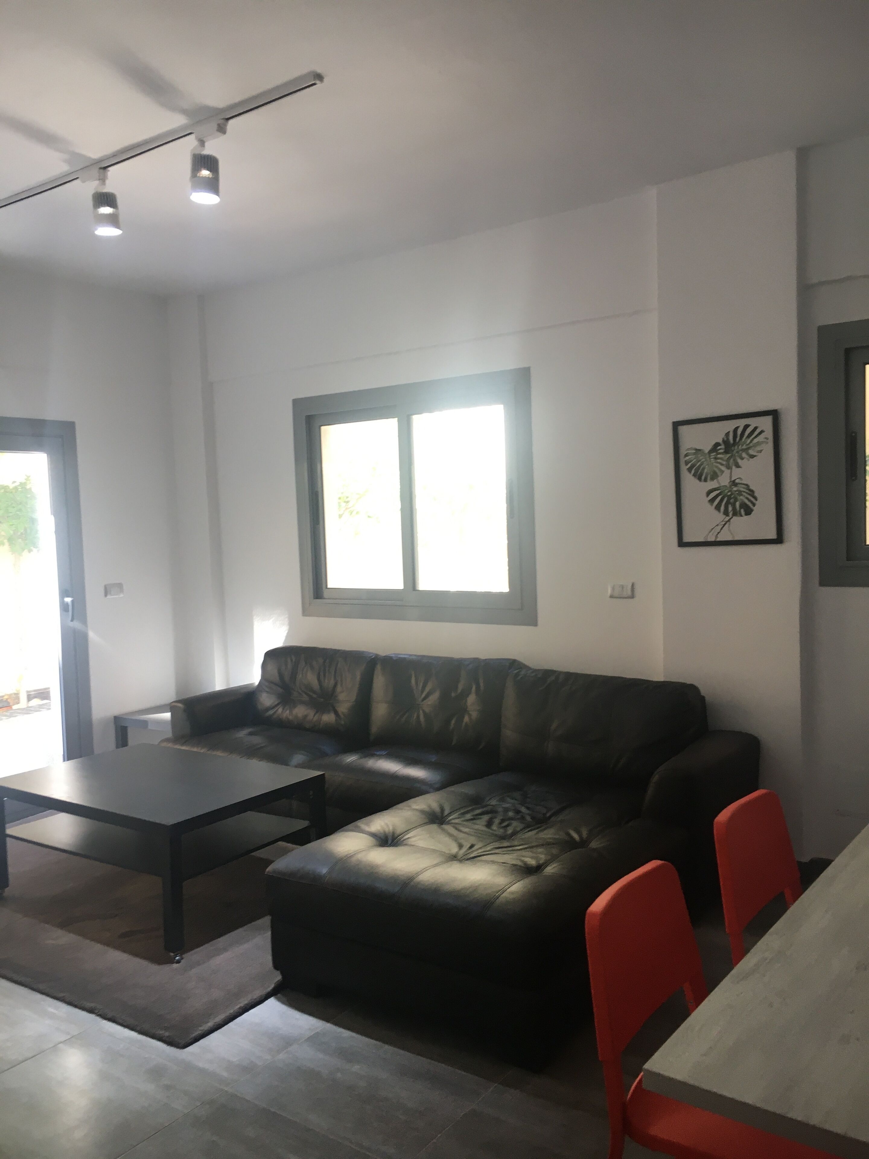 A modern living room with a leather sofa, a dining table, and red chairs. There is a window with blinds, a ceiling light fixture, and a framed plant on the wall.
