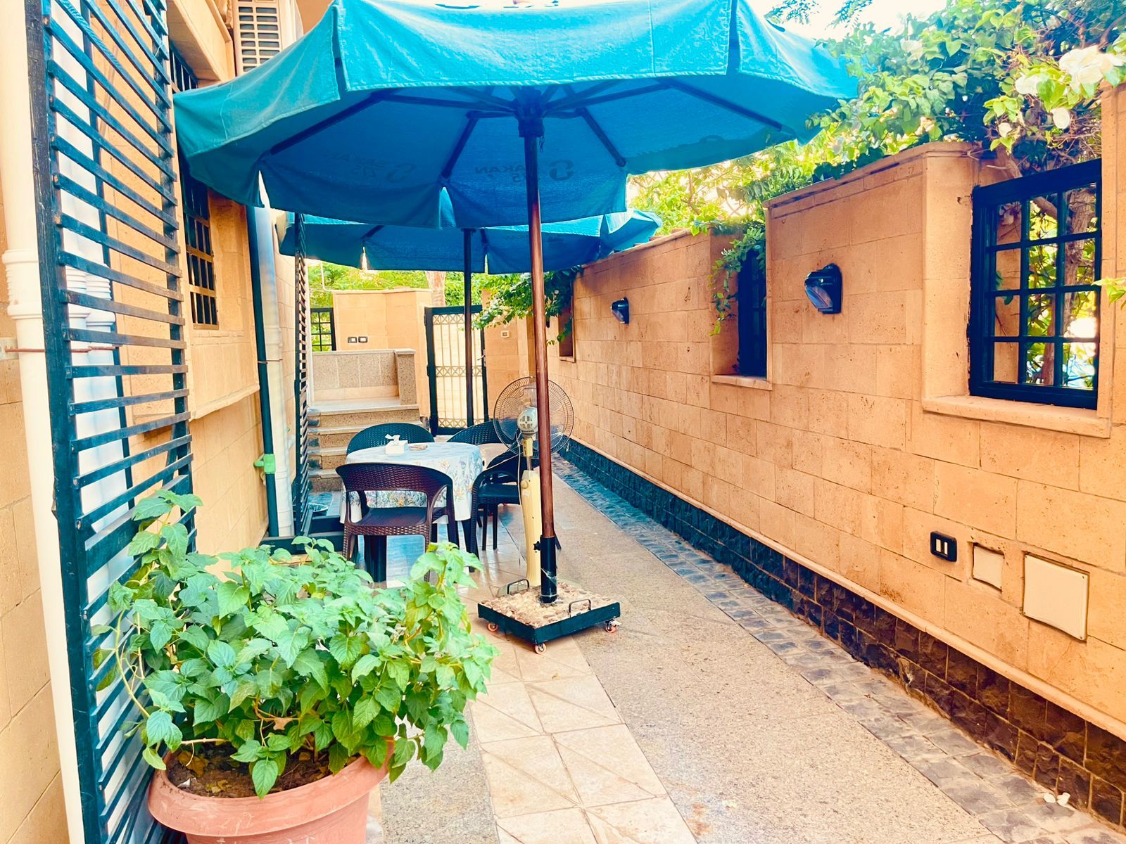 Un espacio al aire libre con una mesa, sillas, una sombrilla azul, una planta en maceta y un muro de ladrillo con una ventana.