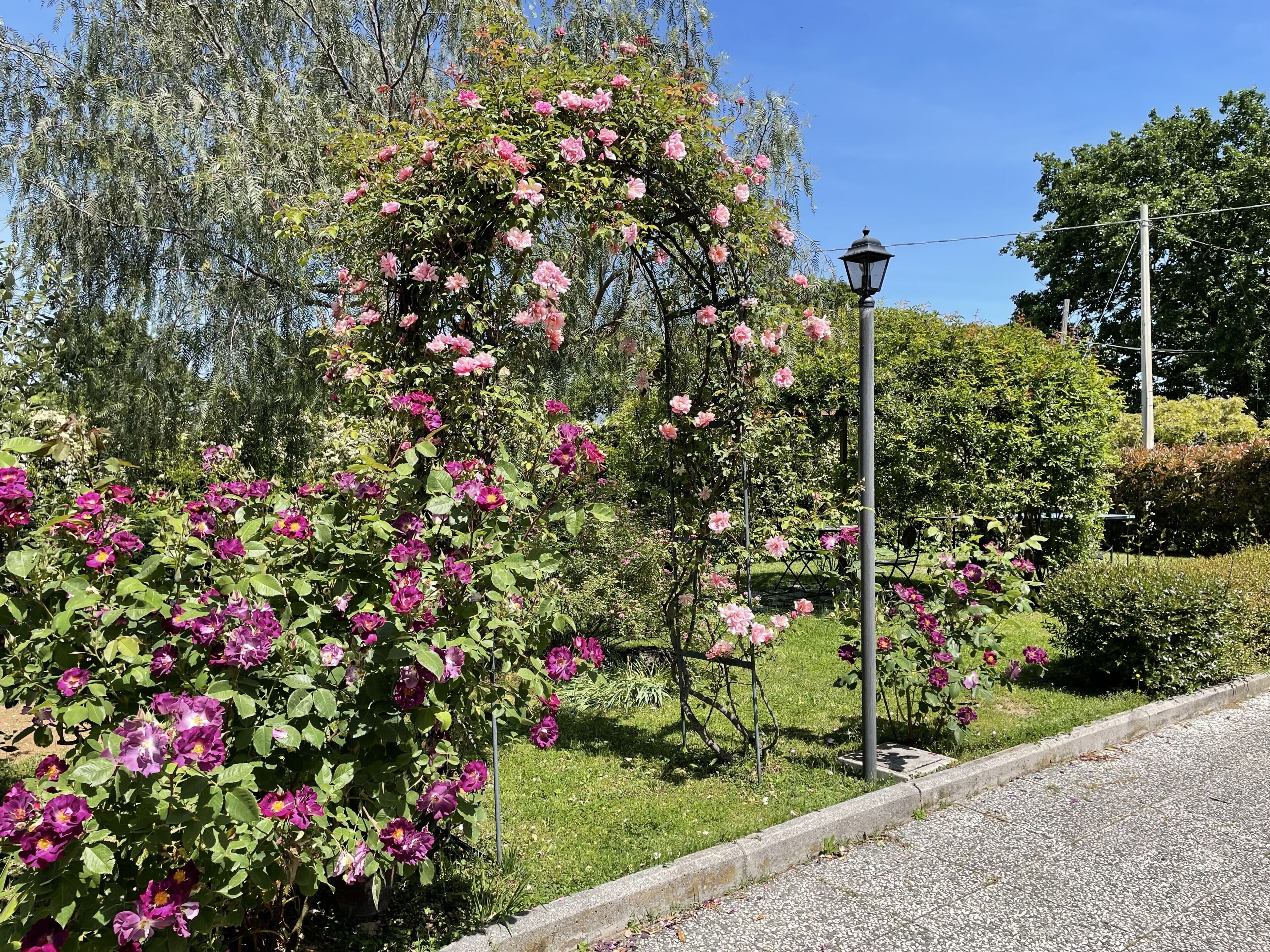 Un jardín con flores rosas y púrpuras, una farola y una zona cubierta de césped.