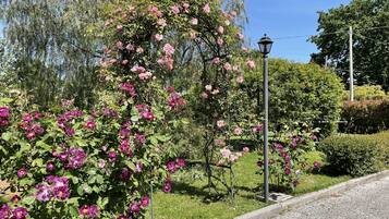 Un jardín con flores rosas y púrpuras, una farola y una zona cubierta de césped.