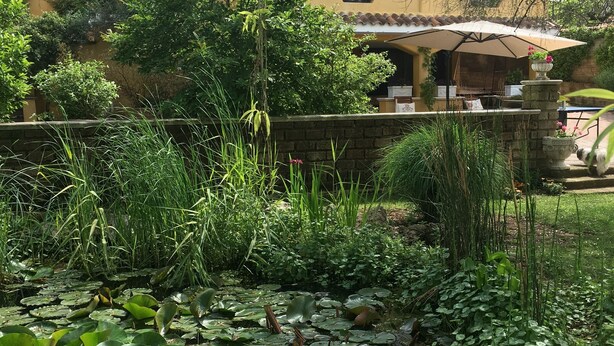 A pond with lily pads and surrounding greenery, a stone wall, and a building with a tiled roof in the background. - Home Sweet Home (Gallicano nel Lazio)