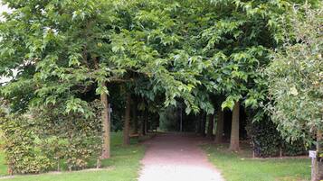 Un sendero que atraviesa un parque flanqueado por árboles.