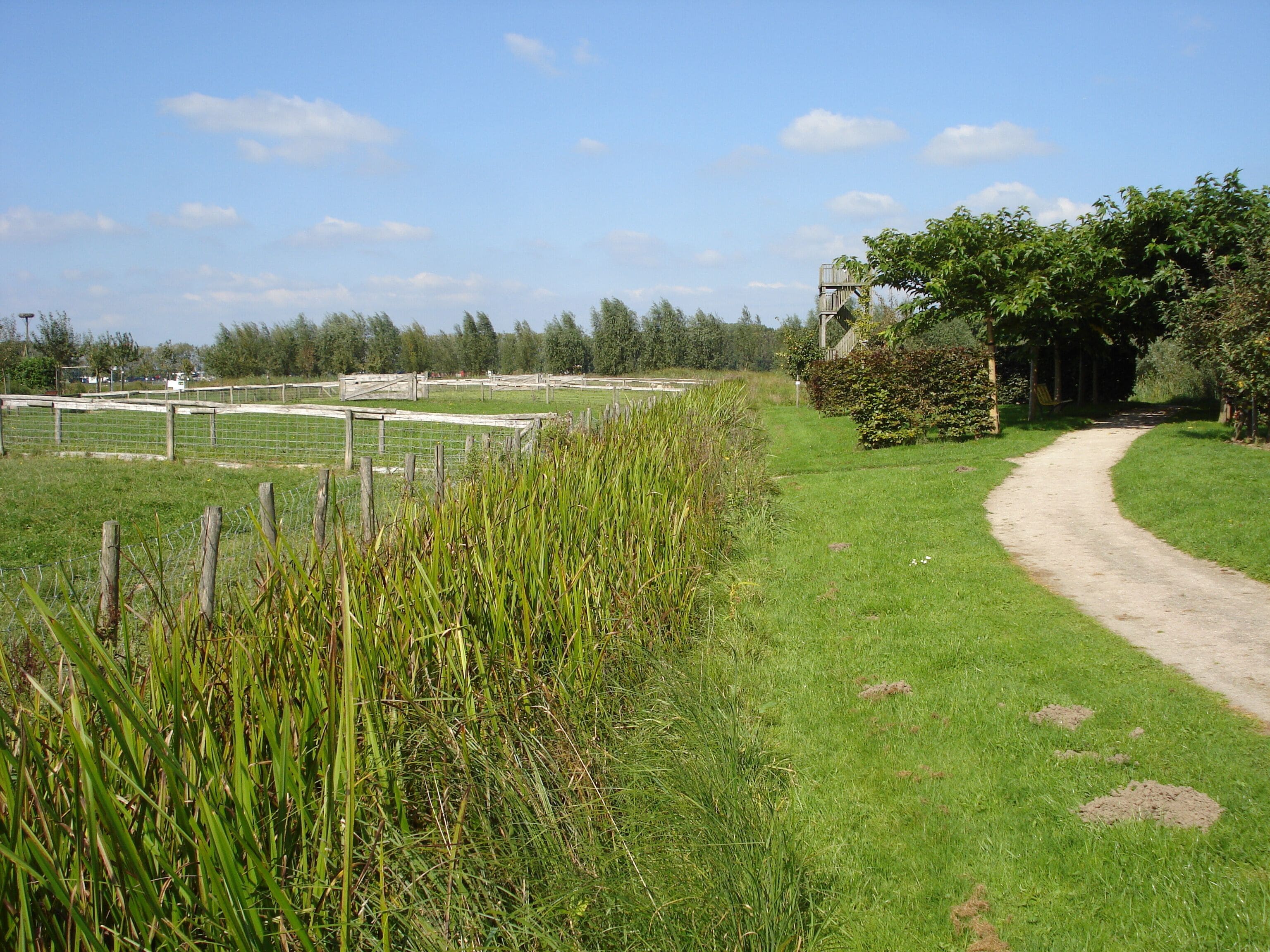 A rural landscape with a dirt path, a fenced area, and a wooden structure.