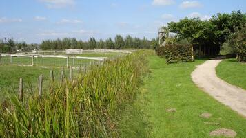 A rural landscape with a dirt path, a fenced area, and a wooden structure.