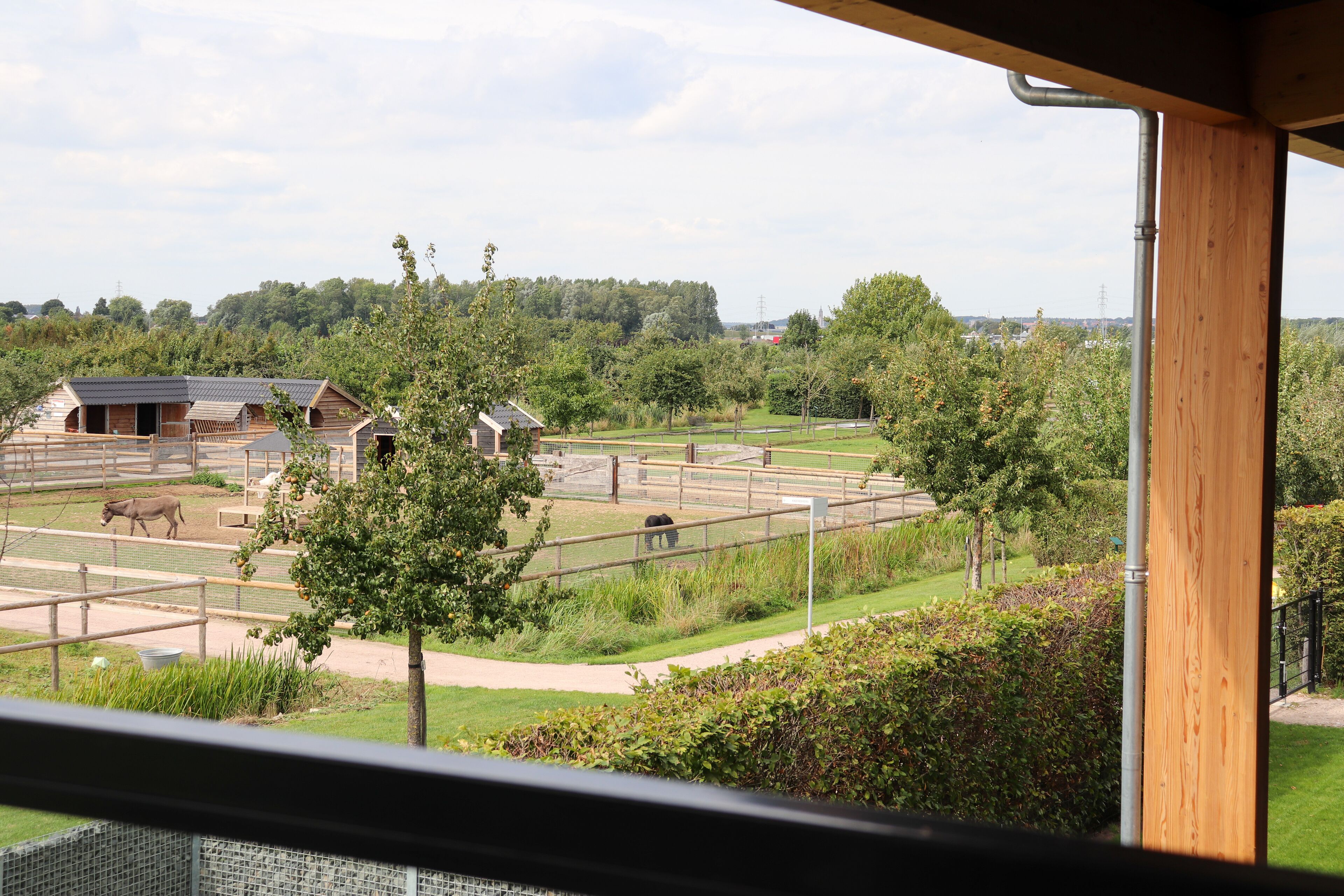 A view of a zoo enclosure with animals, a wooden building, and a fenced area.