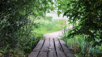 Un sendero de madera rodeado de abundante vegetación y hierba alta.