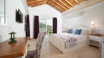 Executive Suite | View from room