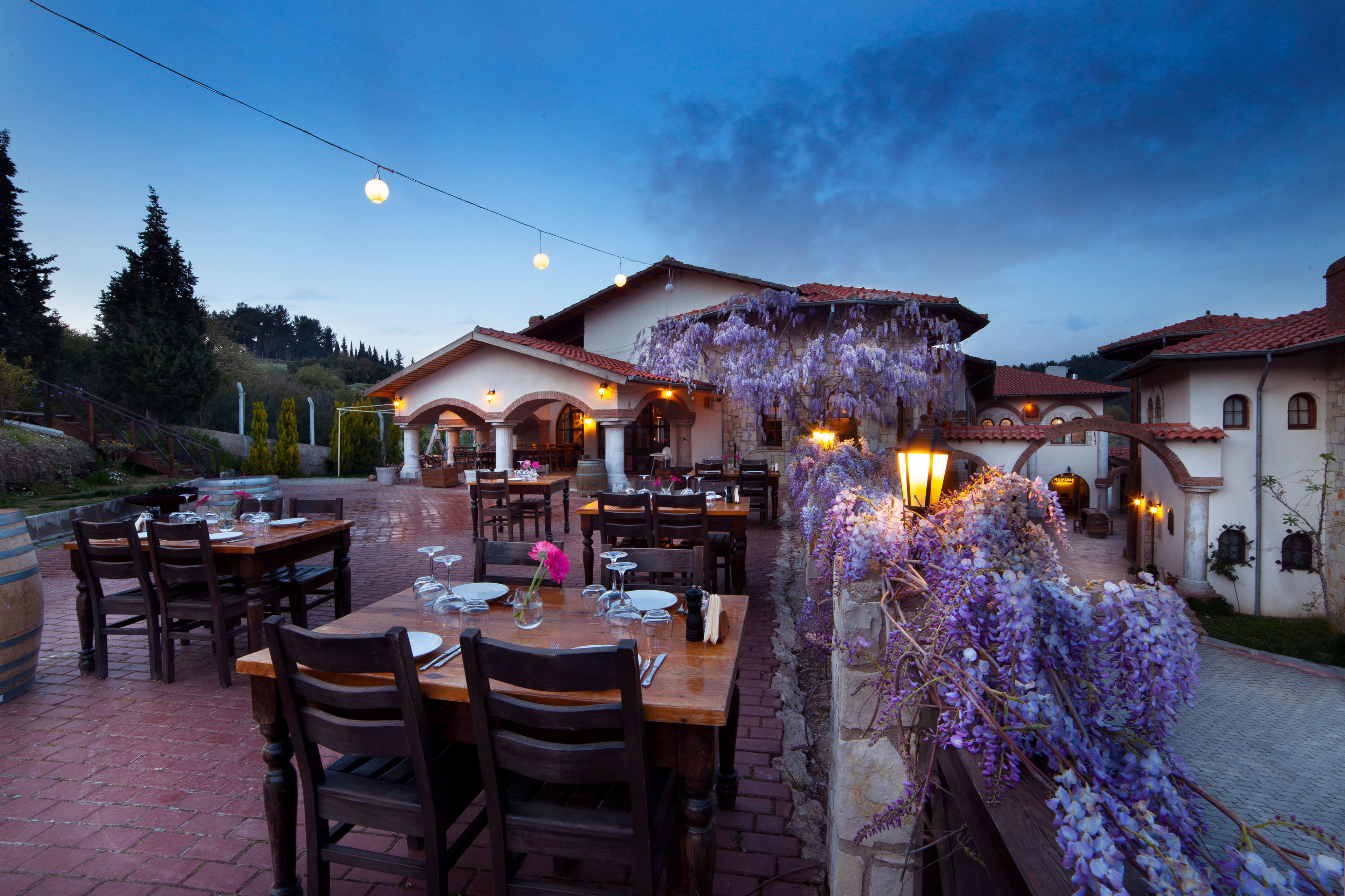 Un espacio de comedor al aire libre con mesas y sillas, una pérgola con flores moradas y un edificio con arcos al fondo.