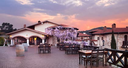 Vinifera Vineyards Hotel