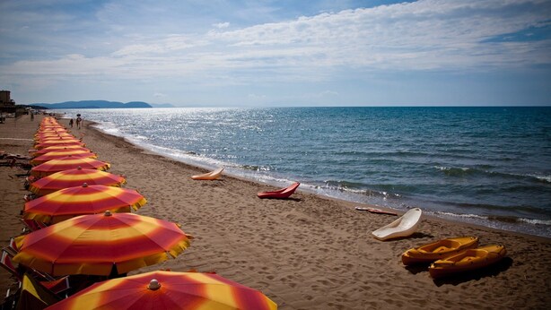 A beach with rows of sun umbrellas and kayaks along the shoreline.