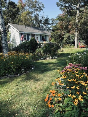 Terrain de l’hébergement 