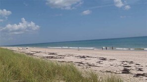 Una spiaggia nelle vicinanze