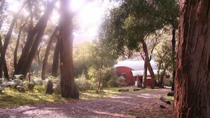 A forested area with a dirt path leading to a red building. - Heavenly Retreat - King bed, luxury spa, undercover parking! (Halls Gap)
