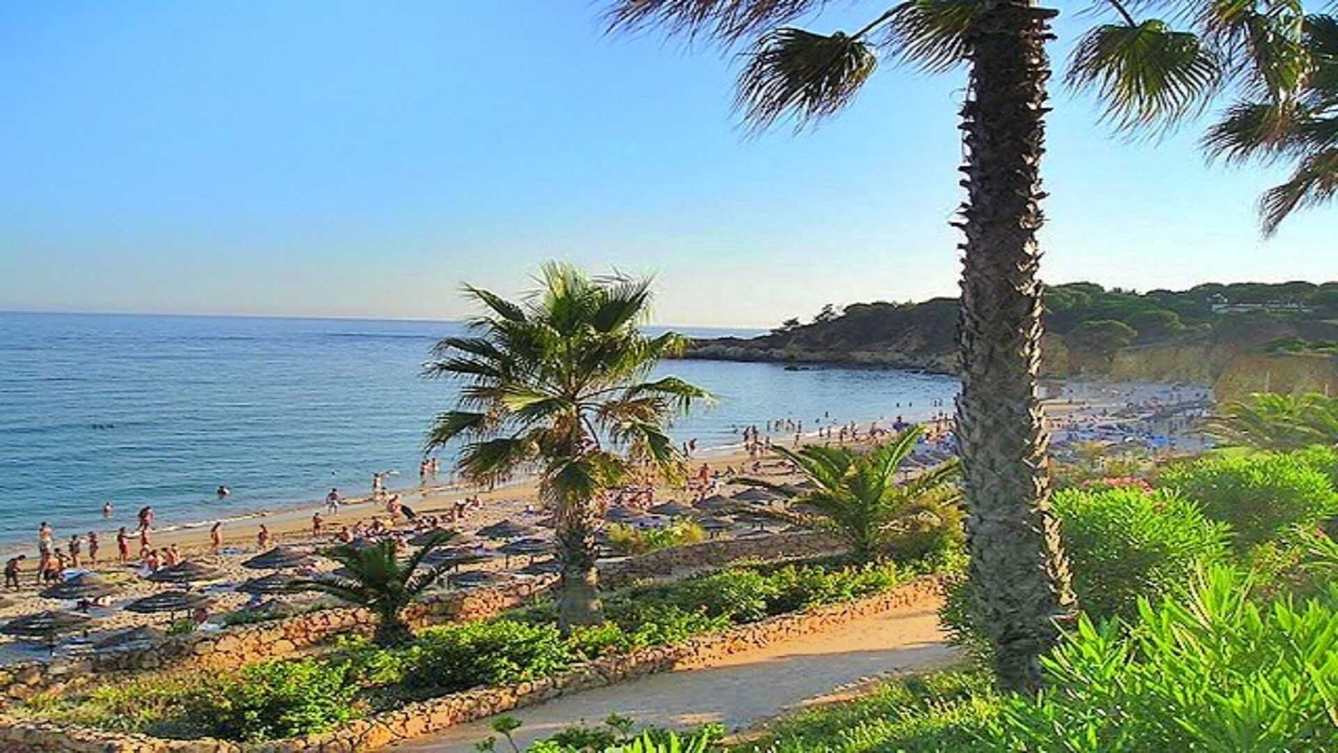 Strand