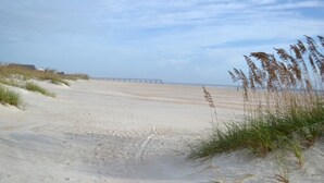 A beach with sand dunes, a pier in the distance, and tall grasses.