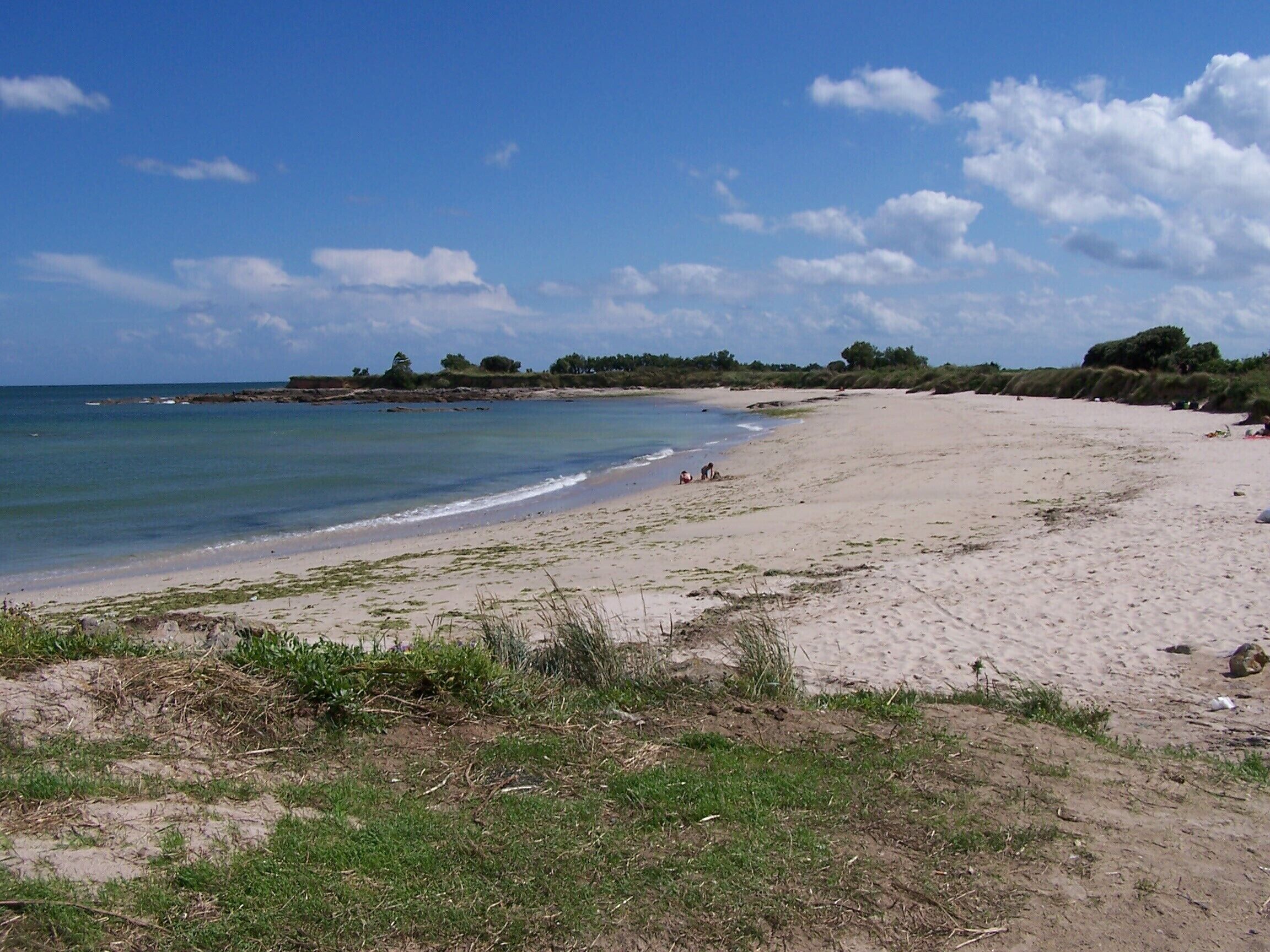 A beach with clear skies, calm waters, and sparse vegetation.